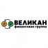 Финансовая группа ВЕЛИКАН, Финансовая группа ВЕЛИКАН