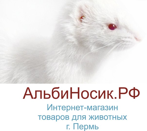 Интернет Магазин Животных Пермь